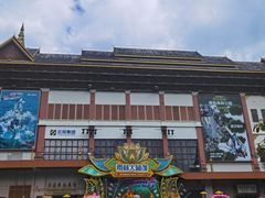 -西双版纳原始森林公园