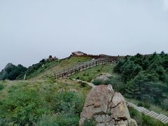 -白草畔自然风景区