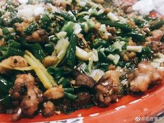 -东吴霸王兔(松青路店)