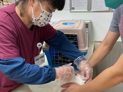 -宠颐生中康贝怡动物医院