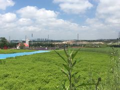 -西海岸生态观光园