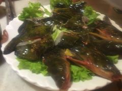 -杨家火锅(国美店)