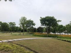 -上海山野camping·户外天幕烧烤·团建拓展营地