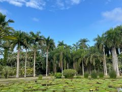 -中国科学院西双版纳热带植物园