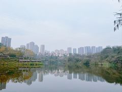 -重庆彩云湖湿地公园