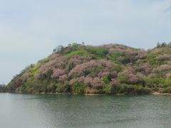 -四明山国家森林公园
