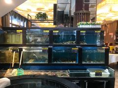 -聚鑫阁江浙菜·非遗传承技艺(青村帝华园店)