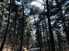 -沈阳辉山风景区