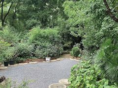 -谷咖啡·鲜花绿植花园餐厅