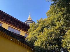 -红梅公园