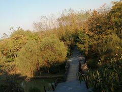 -合肥三国新城遗址公园