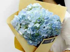 -万卉源鲜花店(百尚生活广场店)