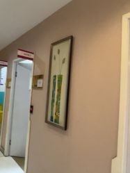 -美莱医学美容医院