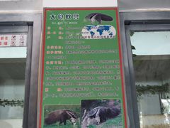 -石家庄市动物园