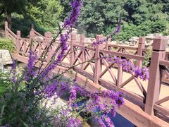 -北京西山国家森林公园