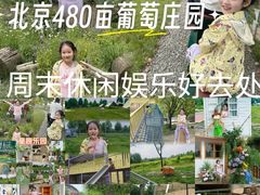 -圣露庄园·露营·烤肉·亲子