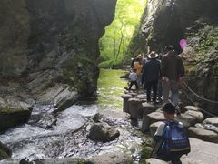 -牛背梁国家森林公园