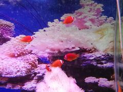 -泉州海丝野生动物世界