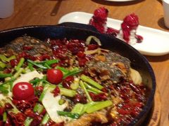 -老板恋上鱼(恒隆广场店)