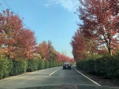 -南京枫彩漫城