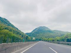 -醉美东江·三文鱼·烧鸡公