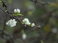 -千泷沟大瀑布旅游区