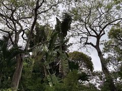 -九龙公园