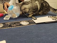 -伽利略剧本探案馆(国贸店)