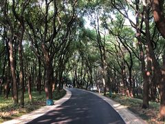 -东湖落雁景区