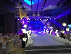 -M'S BANQUET AND SPACE ART