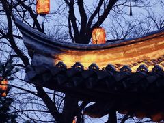 -虾铺子龙虾·私房菜(金源花苑店)