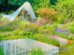 -深圳市中科院仙湖植物园
