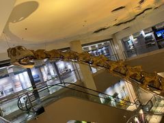 -甘肃地质博物馆