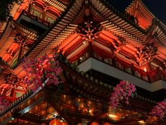 -新加坡佛牙寺龙华院