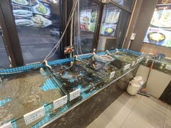 -渡海小渔村.老辈日照菜