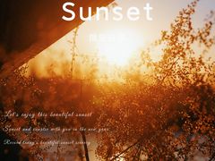 -野鸭湖国家湿地公园