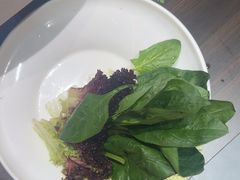 -蝎王府羊蝎子(北大地店)