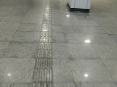 -杨高南路(地铁站)