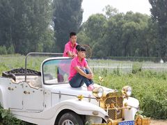 -北京东方普罗旺斯薰衣草庄园