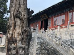 -中岳庙