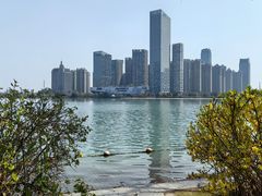 -天鹅湖体育公园