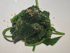 田园时令蔬菜-觀芷隐轩