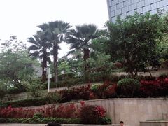 -皇庭广场(福华三路店)