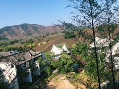 -帐篷客·溪龙茶谷度假酒店