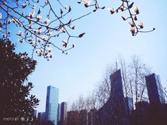 -天鹅湖体育公园