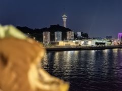 -澳门环岛游湾仔码头