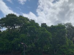 -布里斯班南岸公园