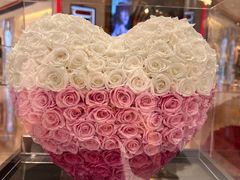 -ROSEONLY诺誓(广州K11店)