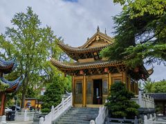 -上海东林寺(金山区)