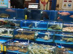 -黄沙水产交易市场